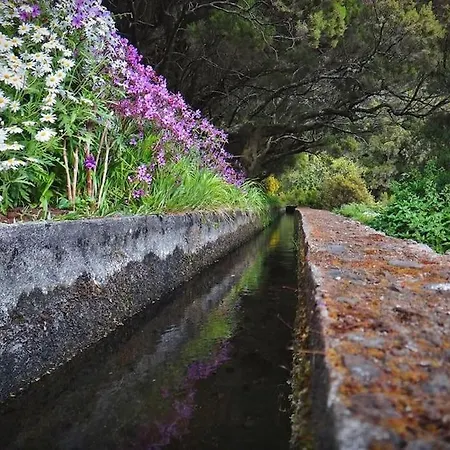 Casa Pereira - Snooker, Wi-fi, Bbq, Pool *