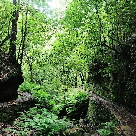 Casa Pereira – Snooker, Wi-fi, Bbq, Pool *