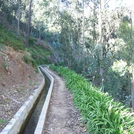 Casa Pereira - Snooker, Wi-fi, Bbq, Pool Alpstuga Relogio do Poiso