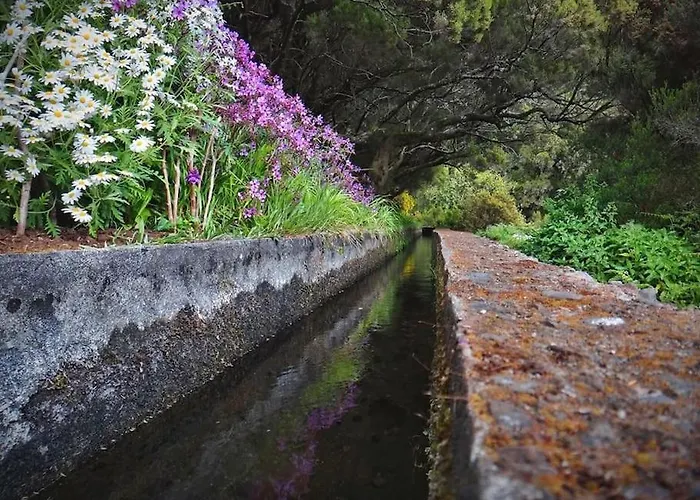 Casa Pereira - Snooker, Wi-fi, Bbq, Pool *