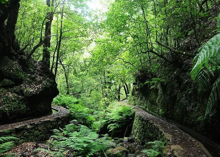 Casa Pereira - Snooker, Wi-fi, Bbq, Pool *